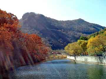 新澳天天开奖资料大全旅游团，硅油沸点